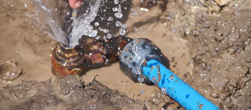 Reasons to Replace Your Lead Pipes in Meadowlands, Hamilton